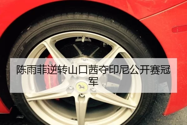 陈雨菲逆转山口茜夺印尼公开赛冠军