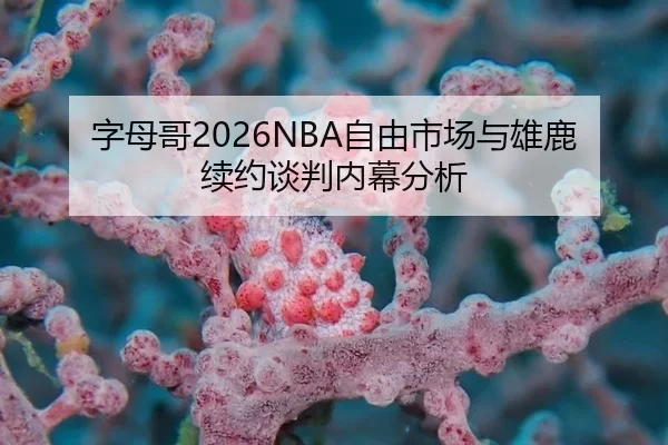 zi-mu-ge-zi-you-shi-chang-yu-xiong-lu-xu-yue-tan-pan-nei-mu-fen-xi-2-637.jpg