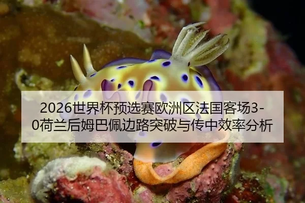 2026世界杯预选赛欧洲区法国客场3-0荷兰后姆巴佩边路突破与传中效率分析